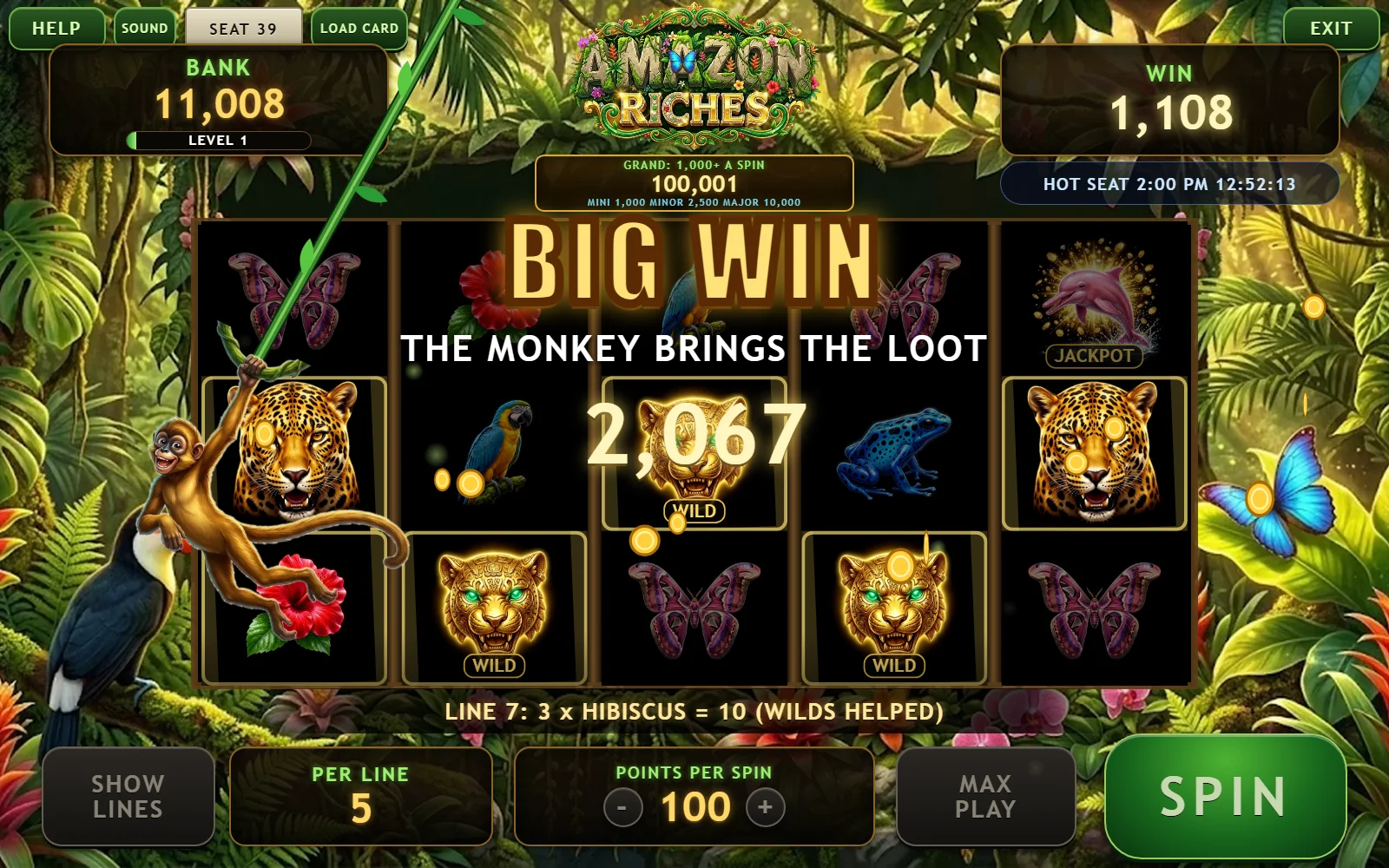 Amazon Riches slot with the monkey swinging across a big win